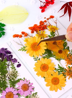 小熊二班DIY压花片混合干花包
