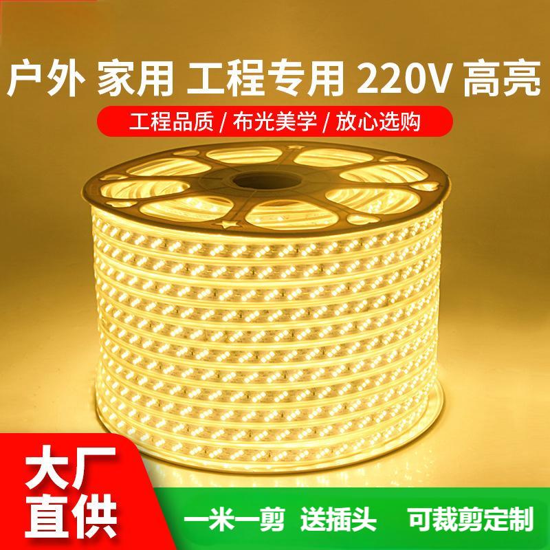 LED灯带高亮320珠户外180珠防水工程220v吊顶家用养殖场软线条灯