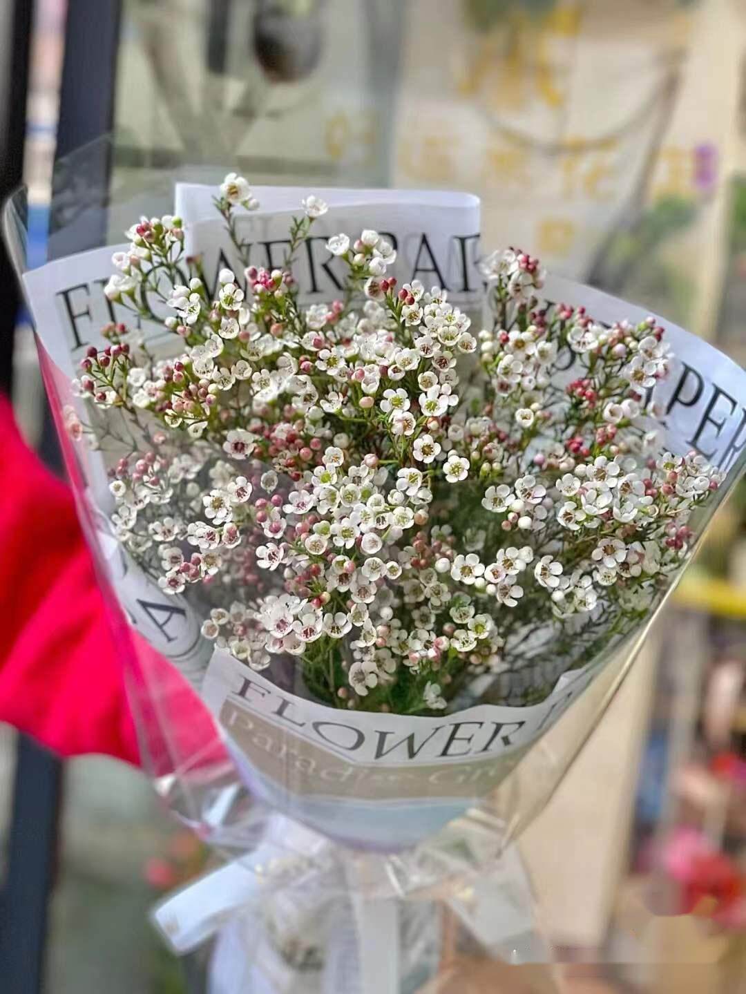 新年春节进口澳洲腊梅鲜花花束快递同城配送送长辈女友重庆成都