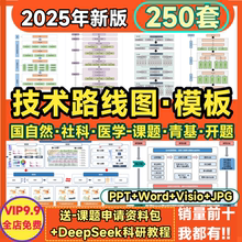 技术路线图模板国自然Word生物医学PPT可编辑visio版框架图流程图