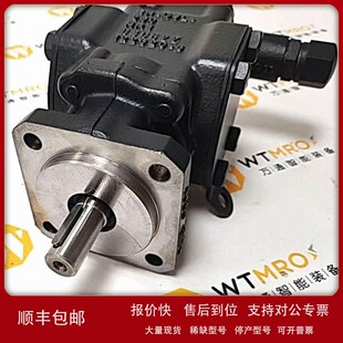 议价德国Rickmeier 油泵 齿轮泵 R35 FSAE