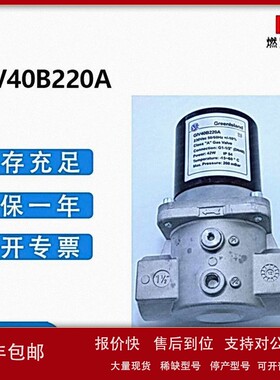 议价Greenlsland润瓯电磁阀GIV40B220A燃气电磁阀