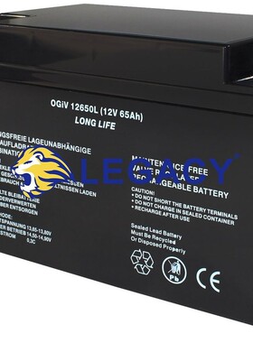 德国RPower蓄电池 OGIV126500L 12V65AH UPS电源 船舶电池