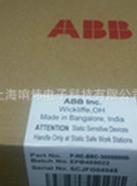 ABB贝利INIIT12 ABB火检探头 电源模块 端子板 电缆变频器定位器