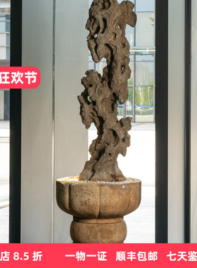 清代太湖石立峰缠枝花卉赏石