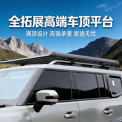比亚迪唐EV宋PRO DMI元PLUS护卫舰海狮05 06 07 09车顶行李架框筐