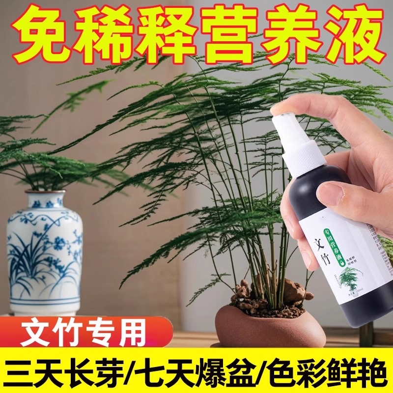 文竹专用营养液肥料盆栽绿植物叶子发黄枯瘦干尖烂根落叶壮根绿叶