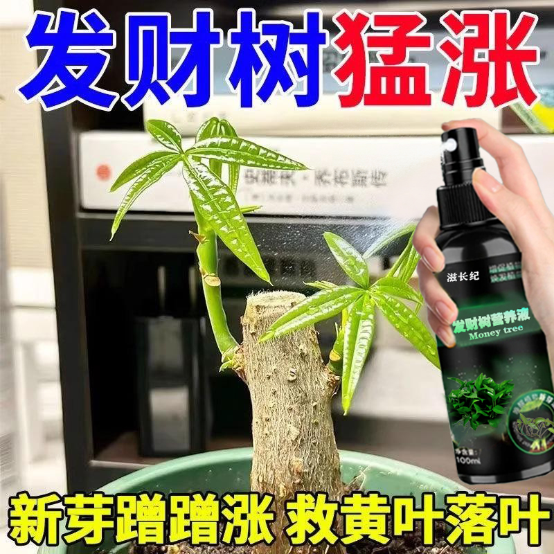 发财树专用营养液肥料黄叶枯叶烂根专用药生根剂绿植物通用活力素
