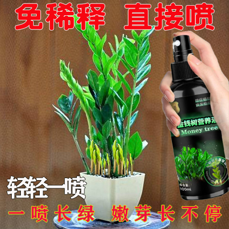 一喷爆盆】金钱树营养液催芽预防黄叶烂根液体肥生根爆芽专用肥料