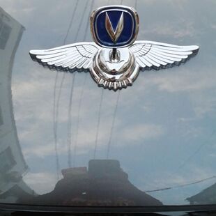 长安车标立标逸动悦翔锐程CS35CS75车头装 饰机盖站立标飞鹰标金属