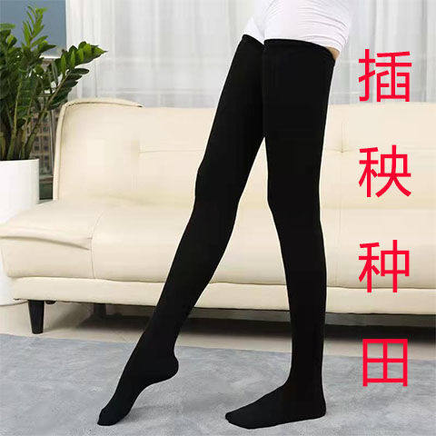 种田袜子插秧袜男水田袜种水稻插田下田脚袜厚长腰防蚂蝗长袜栽秧