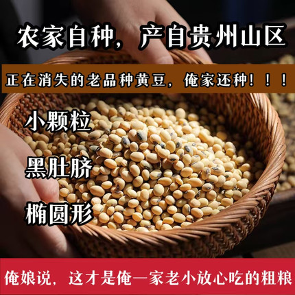 （俺爹娘坚持种的）老品种椭圆形打豆浆专用黄豆本土黑肚脐小黄豆