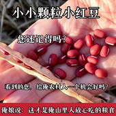 农家自种黄豆晒干红豆农家自种黄豆晒干红豆农家自种黄豆晒干红豆