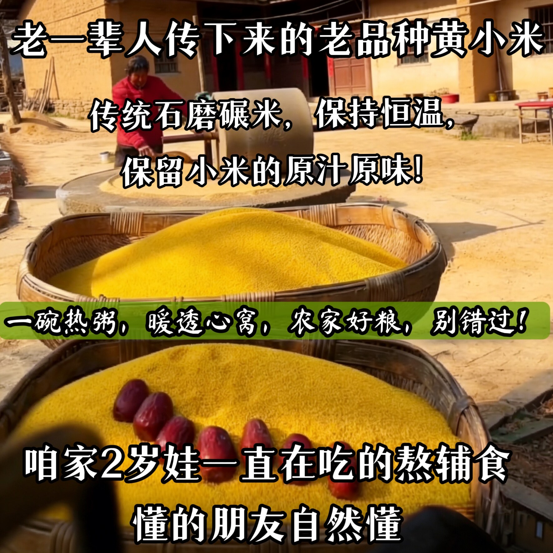 （几代人在种的老品种黄小米）农小米