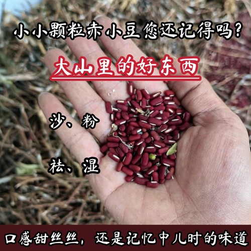 大山里的老品种赤小豆）农家自种小颗粒小赤豆非红豆祛湿熬粥新货