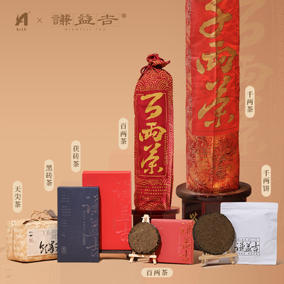 安化黑茶茶沁天下湖南特产送礼品