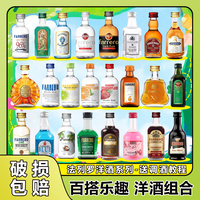 便利店調(diào)酒小酒套裝伏特加白蘭地