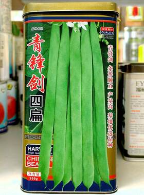 四扁架豆种子绿扁豆不鼓豆