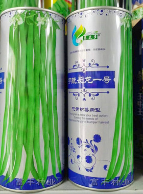 宇航长龙一号无筋豆种子早熟高产无筋无纤维长架豆种子无丝豆种子