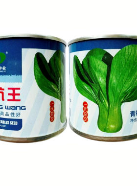 德赛种业夏之美夏抗王青梗菜种子一代杂交耐热青梗菜种子叶色油绿