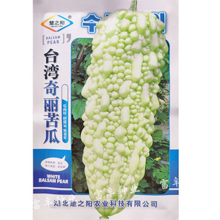 苦瓜种子耐热耐寒珍珠苦瓜种籽早熟绿白色皮长棒苦瓜种子肉厚细脆