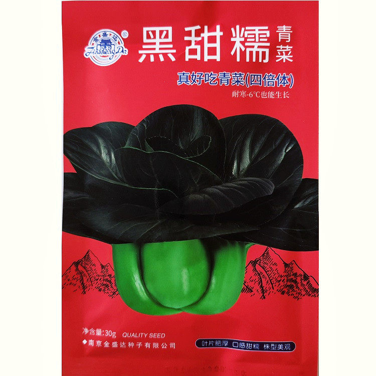 黑甜糯青菜种子四倍体真好吃青菜种籽耐寒矮棵黑叶苏州青菜种子
