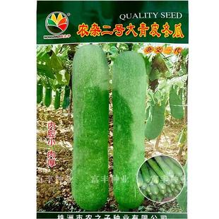 农杂二号大青皮冬瓜种子耐热中晚熟淡绿皮大冬瓜种子内腔小肉厚