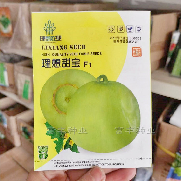 理想甜宝甜瓜种子大果浅黄皮甜瓜种籽超甜早熟含糖高糖香瓜种子