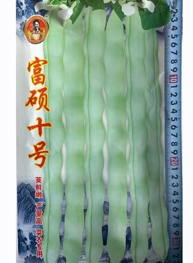 富硕十号九粒白芸豆种子白不老豆角早熟春秋季嫩白架豆蔬菜种孑