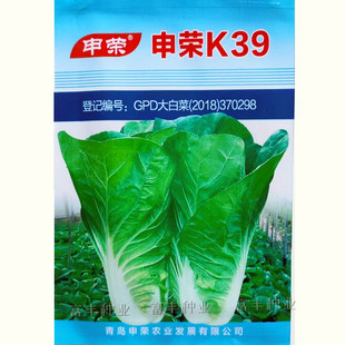 申荣快菜种子耐热耐湿小白菜种籽叶片肥厚无刺毛速生杭白菜种子孑