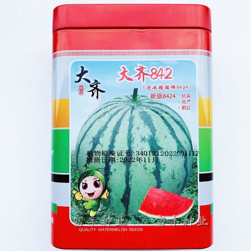 大齐8424西瓜种子早熟红瓤西瓜种籽耐裂耐低温大棚露地用西瓜种籽