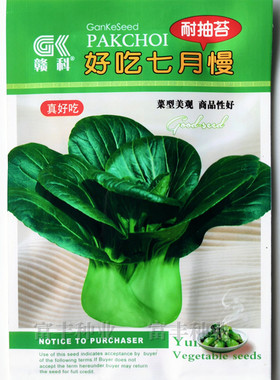 好吃七月慢青菜种子耐抽苔耐寒五月慢六月慢黑叶青菜种子秋冬季种