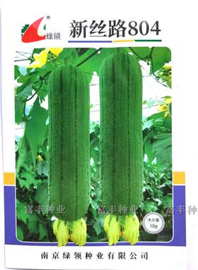 绿领新丝路804丝瓜种子早熟抗病肉丝瓜种子肉厚紧实香味浓丝瓜种