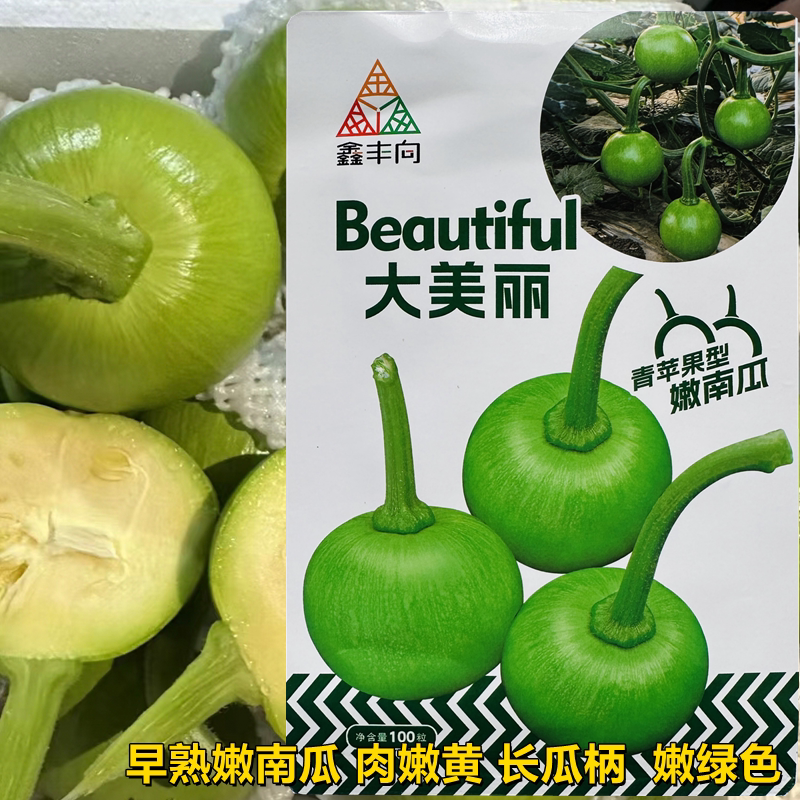 大美丽南瓜种子早熟青苹果型嫩南家庭园艺种子