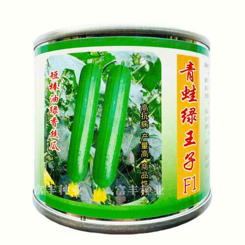 荷兰进口丝瓜种子杂交高产