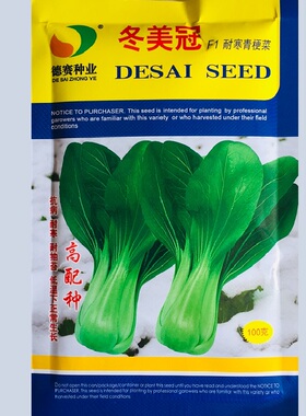德赛种业冬青王 冬美冠青梗菜种子秋冬耐寒越冬束腰油菜青菜种籽