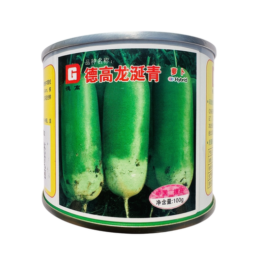 德高龙涎青萝卜种子耐热萝卜种子夏秋季耐热甜脆翠绿肉萝卜种子