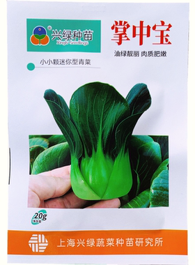 掌中宝青菜种子小颗迷你型青菜种子矮脚束腰叶柄矮短小青菜种子