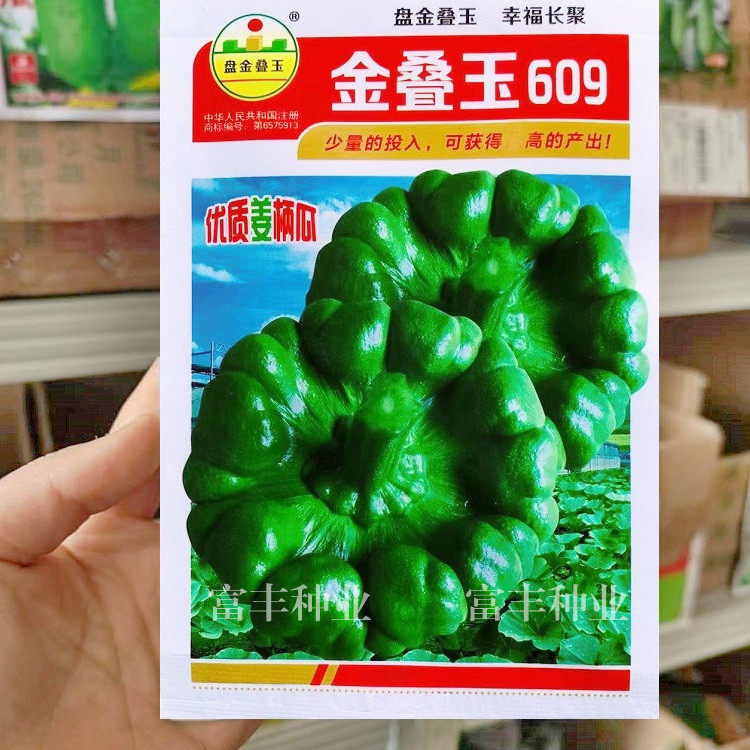 云南姜柄瓜种籽蔓生七叶瓜爬藤小南瓜柿饼状短蔓绿菜瓜蔬菜种子