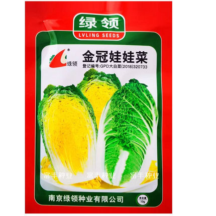 金冠娃娃菜种子秋宝149黄心大白菜种子高产抗病秋冬季播蔬菜种子