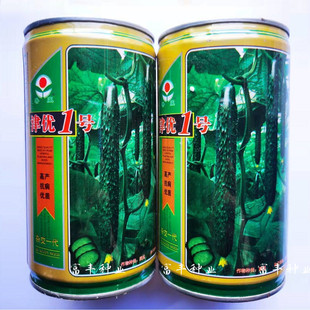 津优1号 津春4号黄瓜种子油亮绿芯绿肉青瓜种籽孑高产春季秋季播