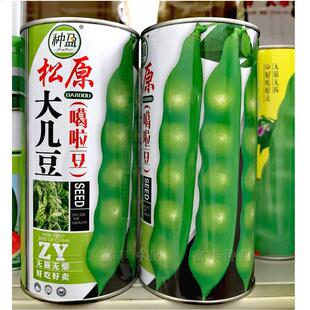 松原大几豆豆角种子东北油豆角子搭架鼓豆几豆角籽嘎啦豆无筋无柴
