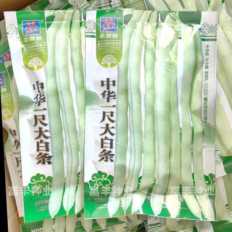 中华一尺大白条架豆种子白花长荚白芸豆种子春秋季白绿色菜豆种子