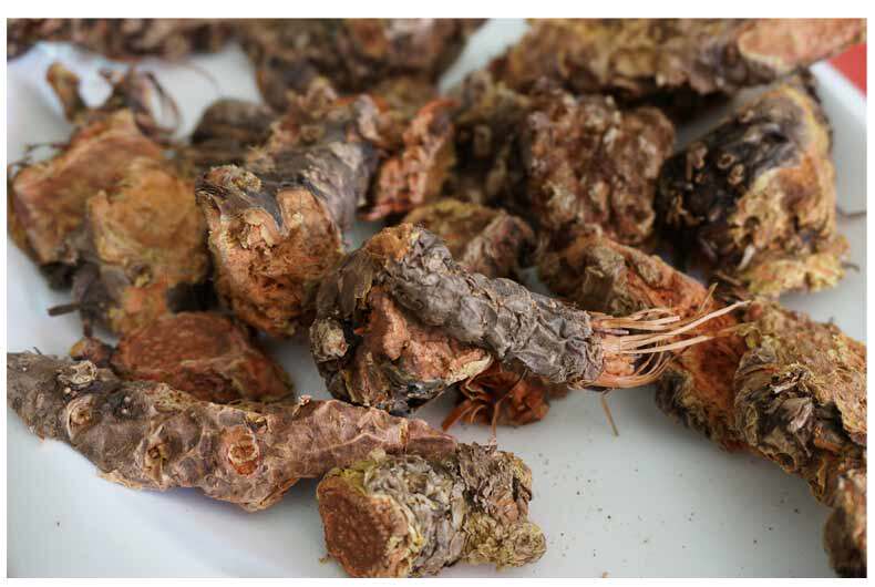 云南香格里拉高山红景天   500克(带皮红景天)