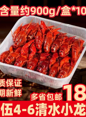 柳伍清水小龙虾4-6潜江小龙虾