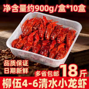 柳伍潜江清水小龙虾夜市餐饮4-6虾冷冻速食预制海鲜水产商用批发