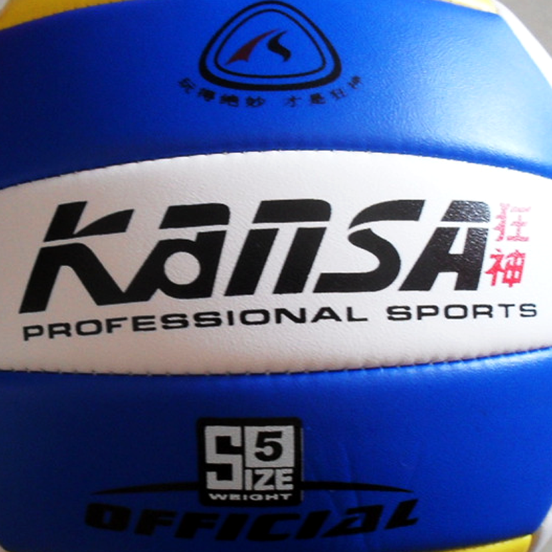 Ballon de volley-ball - Ref 2011083 Image 3