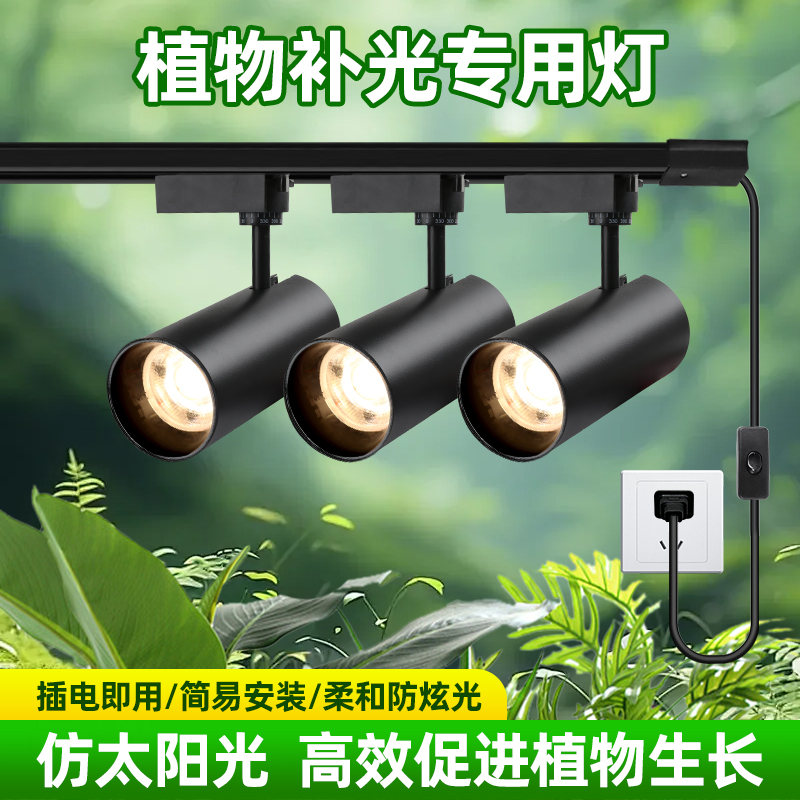 【一万+人种草】植物补光灯