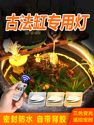 古法缸专用灯 全光谱led防水灯带圆形陶瓷鱼缸水草造景补光氛围灯