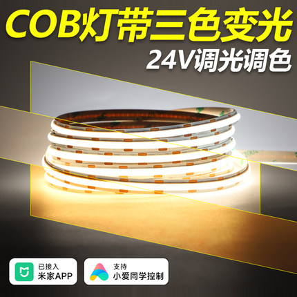 三色变光LED灯带COB智能无极调光可调色温变色3色220V24V低压灯条